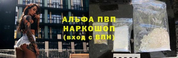 ПСИЛОЦИБИНОВЫЕ ГРИБЫ Нея