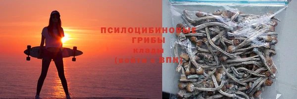 ПСИЛОЦИБИНОВЫЕ ГРИБЫ Нея