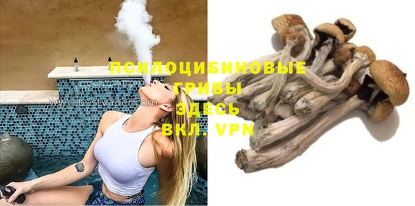 твердый Нефтегорск